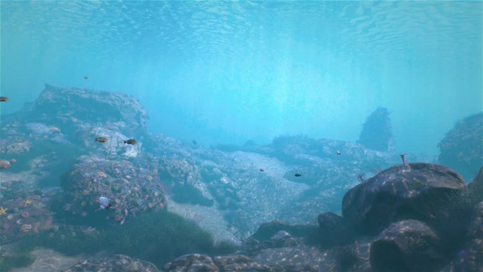 Dive