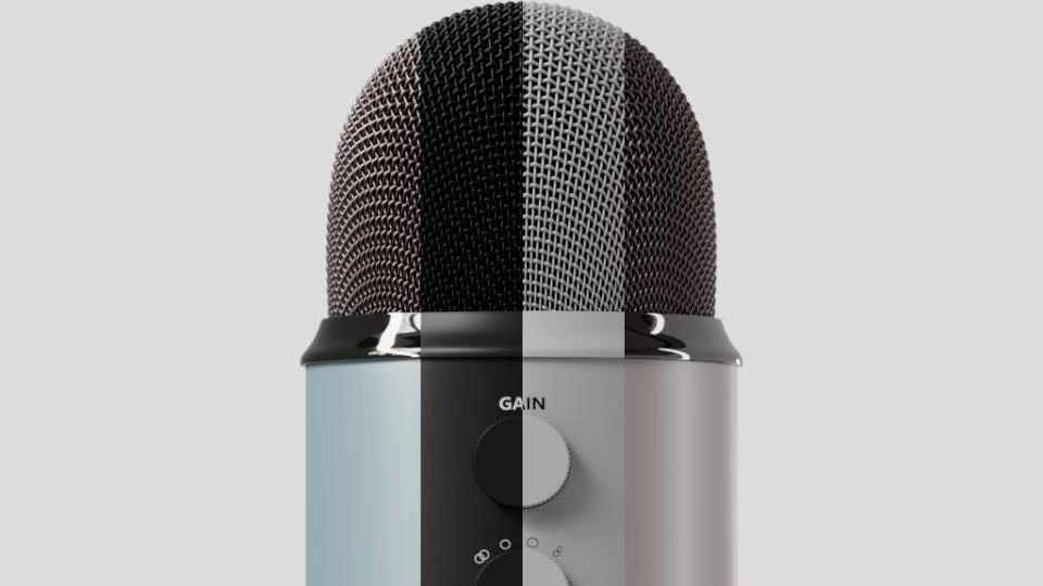 Microphone